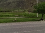 Satılır 300 sot torpaq Oğuz