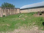 Satılır 6 otaqlı 1000 m2 həyət evi Şamaxı