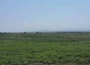 Satılır 6000 sot torpaq Goranboy