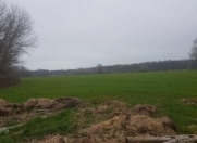 Satılır 650 sot torpaq Xaçmaz