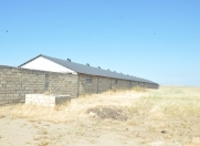 Satılır 300 sot torpaq Mehdiabad