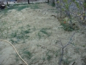 Satılır 7 sot torpaq Naxçıvan