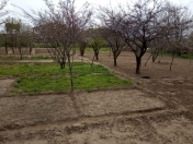 Satılır 10 sot torpaq Sabunçu r.