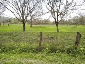 Satılır 24 sot torpaq Quba