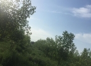 Satılır 240 sot torpaq Şəmkir