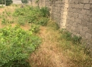 Satılır 5 sot torpaq Albalı