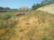 Satılır 5 sot torpaq Dübəndi bağları