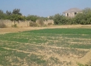 Satılır 12 sot torpaq Maştağa