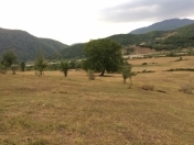 Satılır 189 sot torpaq Şamaxı