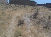 Satılır 3.2 sot torpaq Saray