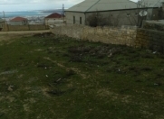 Satılır 10 sot torpaq Hökməli