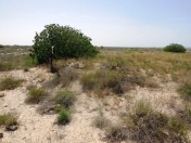 Satılır 12 sot torpaq Nardaran