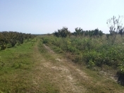 Satılır 500 sot torpaq Xaçmaz