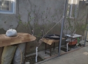 Satılır 3 otaqlı 74.4 m2 bağ evi Novxanı