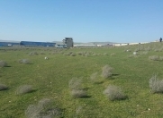 Satılır 26 sot torpaq Novxanı