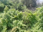 Satılır 26 sot torpaq Elit ticarət mərkəzi