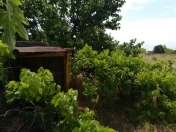 Satılır 25 sot torpaq Fatmayı