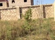 Satılır 3 sot torpaq Ramana