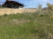 Satılır 14 sot torpaq Novxanı