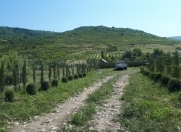 Satılır 250 sot torpaq İsmayıllı