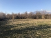 Satılır 16 sot torpaq Balakən