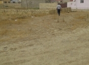 Satılır 3 sot torpaq Dənizkənarı Milli park