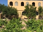 İcarəyə verilir 3 otaqlı 100 m2 həyət evi Pirşağı