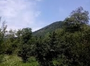 Satılır 20 sot torpaq Qəbələ