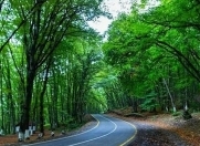 Satılır 10 sot torpaq Quba