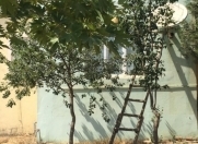 Satılır 3 otaqlı 102 m2 həyət evi Mehdiabad
