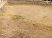 Satılır 12.5 sot torpaq Savalan