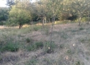 Satılır 6 sot torpaq Binə