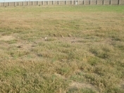 Satılır 6 sot torpaq Y.Ramana