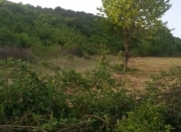 Satılır 14 sot torpaq İsmayıllı