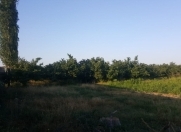 Satılır 700 sot torpaq Xaçmaz