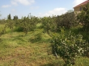 Satılır 24 sot torpaq Lənkəran