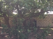 Satılır 8 otaqlı 1200 m2 obyekt Yeni Yasamal