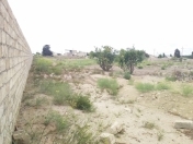 Satılır 30 sot torpaq Türkan