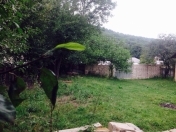 Satılır 12 sot torpaq Quba