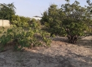 Satılır 24 sot torpaq Novxanı