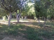 Satılır 8 sot torpaq Qobu