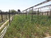 Satılır 20 sot torpaq Nardaran