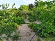 Satılır 45 sot torpaq Novxanı