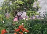 İcarəyə verilir 3 otaqlı 174 m2 həyət evi Oğuz