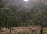 Satılır 10 sot torpaq Naxçıvan