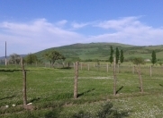 Satılır 10 sot torpaq Quba