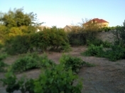 Satılır 10 sot torpaq Sumqayıt