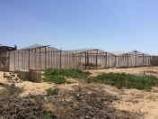 Satılır 20 sot torpaq Xaşaxuna