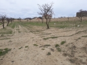 Satılır 10 sot torpaq Saray