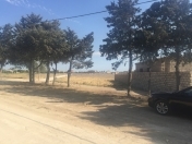 Satılır 100 sot torpaq Ramana